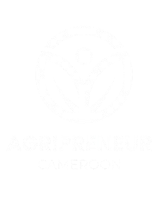 agripreneurcameroon.org