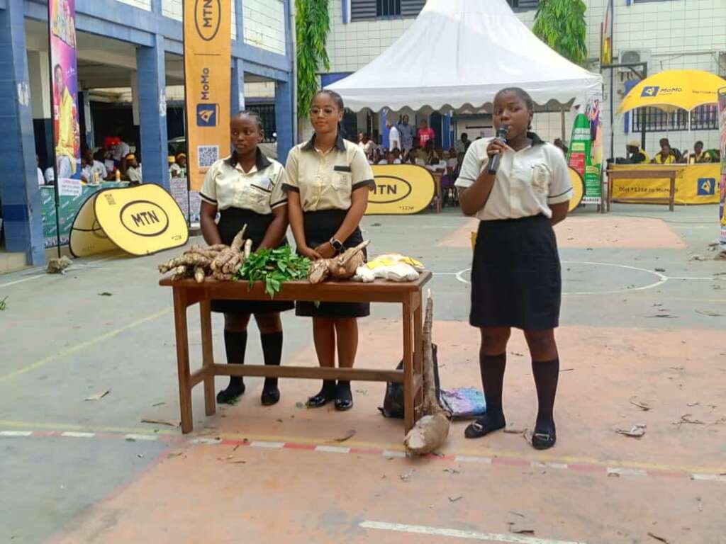 agripreneur youths in agriculture